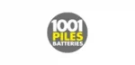 1001 Piles