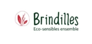 Brindilles