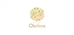 Oleifera